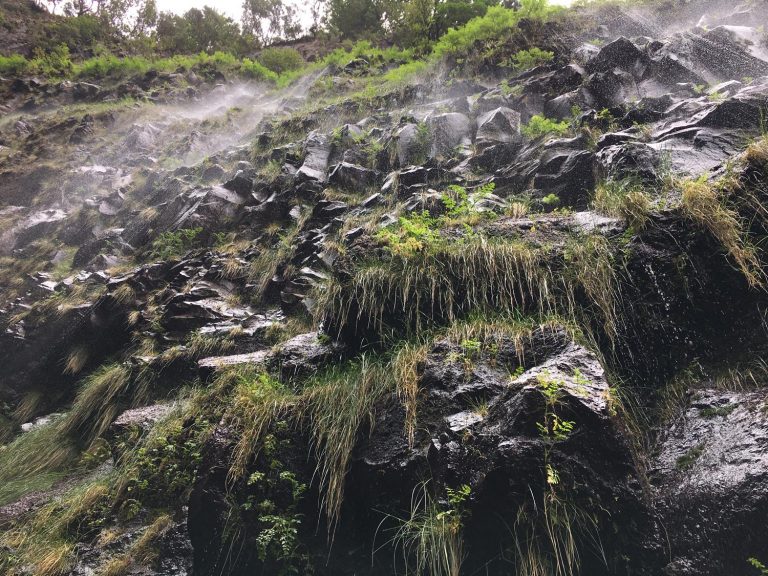 Regenjacke dabei? Wenn nicht, kann es bei einer Wanderung an der Levada do Risco ganz schön nass werden.