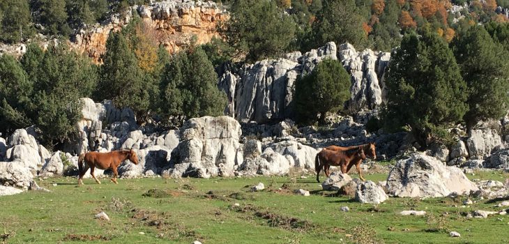 Ein Blick über die Gipfel des Taurusgebirges in Richtung Küste.