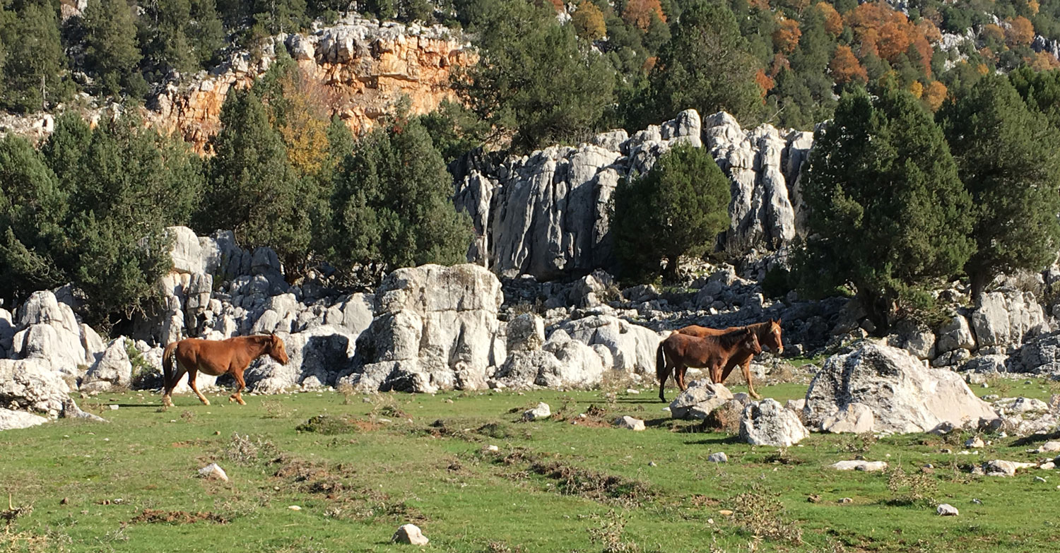 Ein Blick über die Gipfel des Taurusgebirges in Richtung Küste.