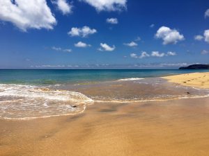 Ein heller Sandstrand und und ein klares, blaues Meer warten auf Porto Santo auf alle Interessierten.