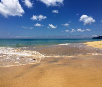 Ein heller Sandstrand und und ein klares, blaues Meer warten auf Porto Santo auf alle Interessierten.