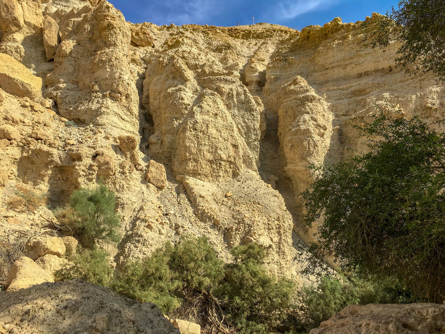 Felsen in der Oase En Gedi in der Negev-Wüste in Israel
