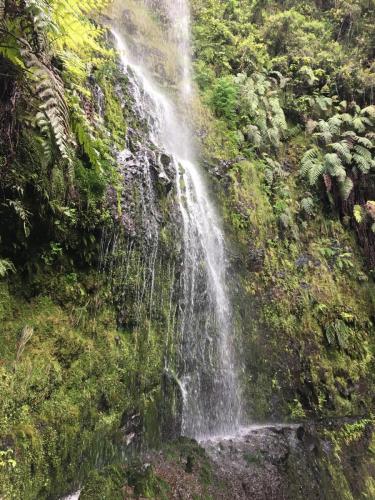 Levada-do-caldeirao-verde-4