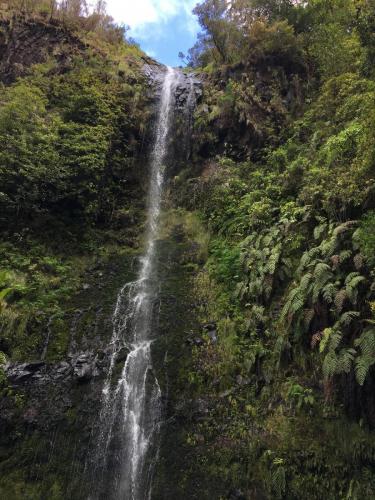 Levada-do-caldeirao-verde-5