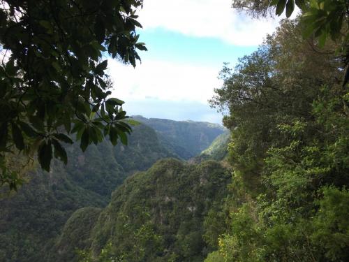 Levada-do-caldeirao-verde-6