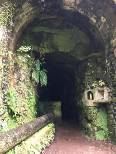 Madeira-Levada-das-25-Fontes-1