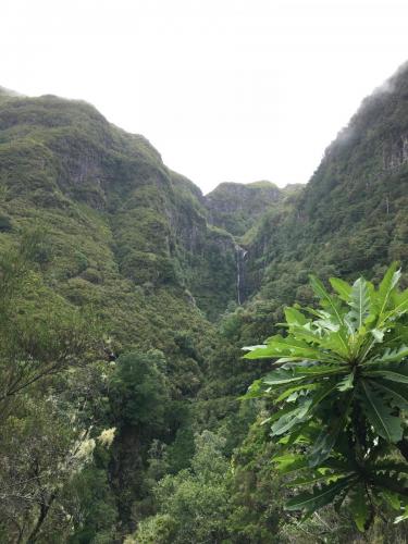 Madeira-Levada-das-25-Fontes-2