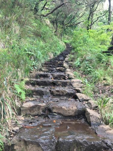 Madeira-Levada-das-25-Fontes-7