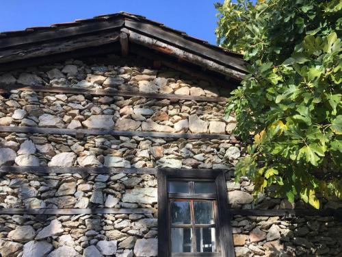 Ein Blick durch das Weinlaub in Ürünlü bei Ormana in der Türkei.