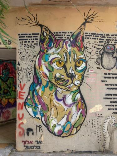 Streetart in Tel Aviv: eine Katze