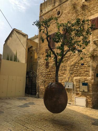 Das Kunstwerk namens Suspended Orange Tree in Tel Aviv Jaffa