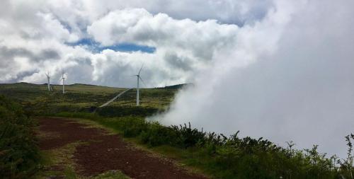 Nebel zieht auf: Und schon sieht man die Windräder auf der Hochebene Paul da Serra nicht mehr.