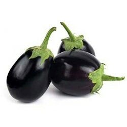 brinjal-round_2