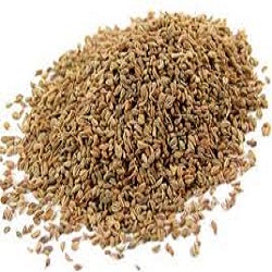 Ajwain (Thymol Seeds)