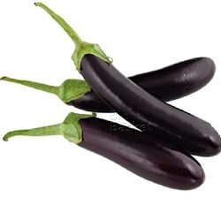 Brinjal