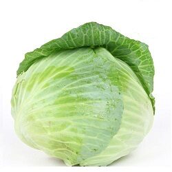 Cabbage