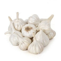 Garlic