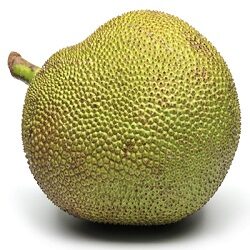 Jack Fruit