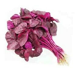 Red Spinach