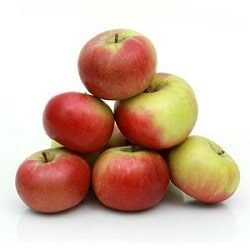 apple-ambri