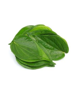 Betel Leaf Paan Patta