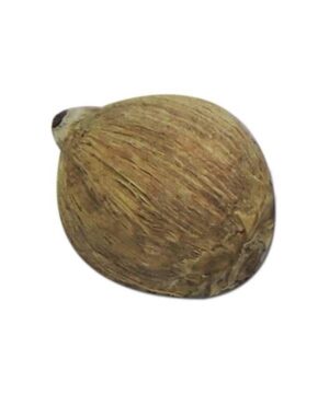 Pooja Hawan Nariyal Dry Coconut