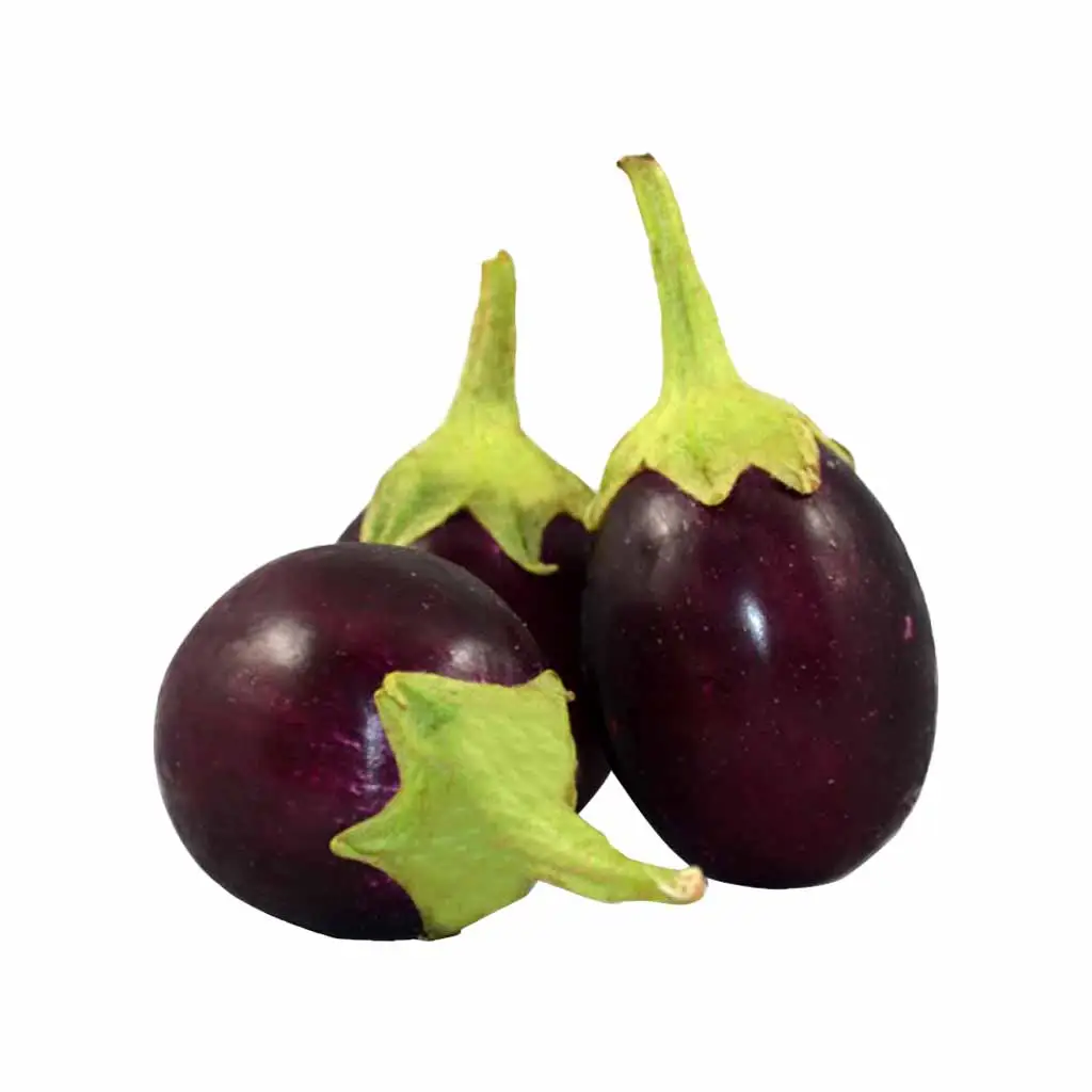 Brinjal 500g