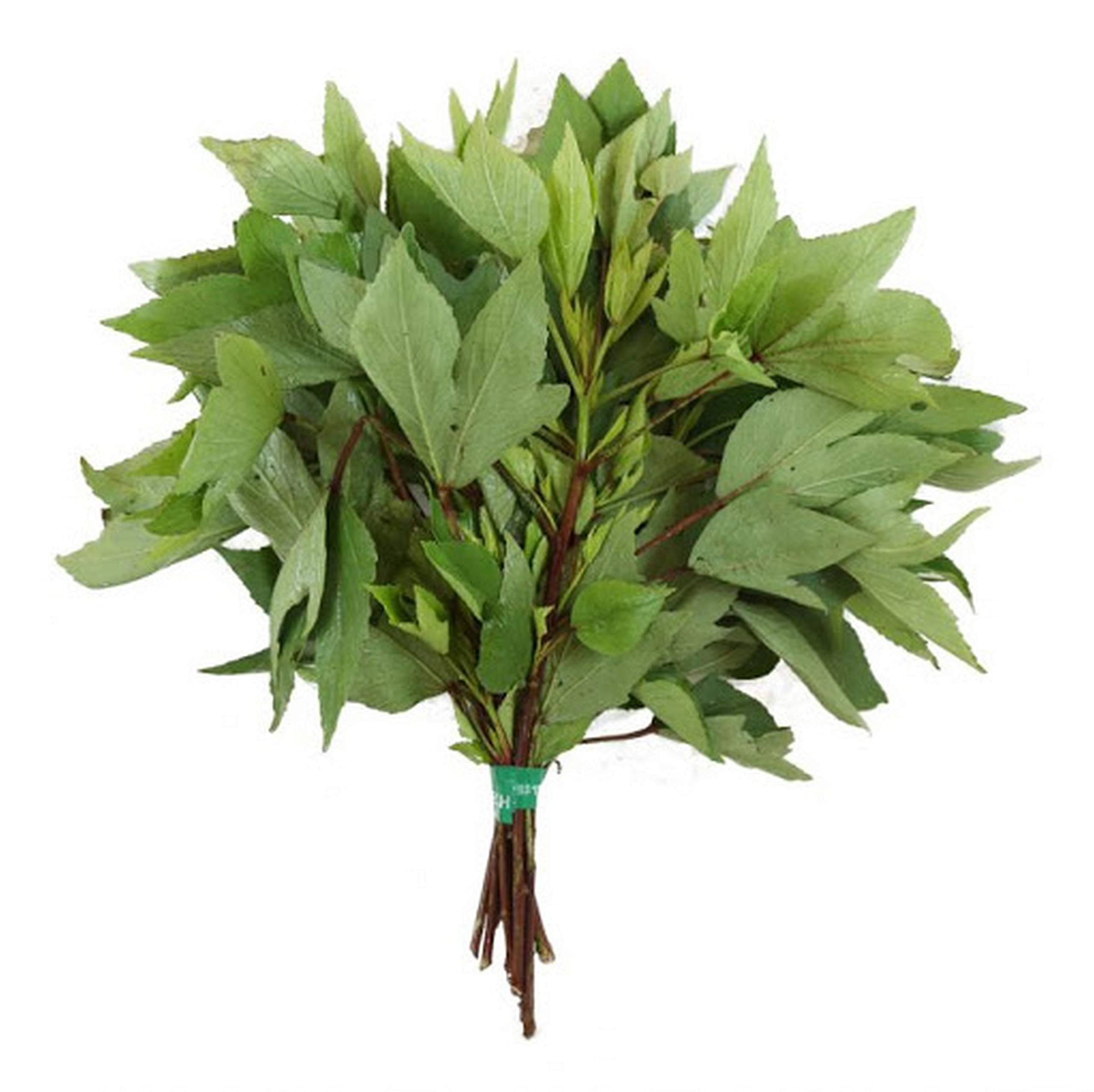Gongura Leaves - STK