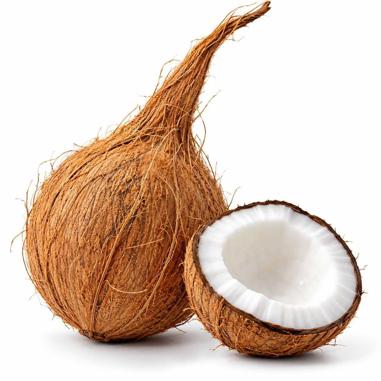 Coconut with tail freshest