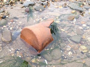 Pot sherd from Instow beach