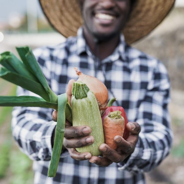 African farmer man holding fresh organic vegetables - Black person working at farm and enjoy harvest period