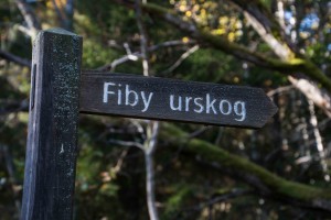 Fiby urskog skylt för webb