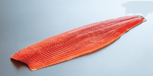 trout_fjord_filet_whole_side