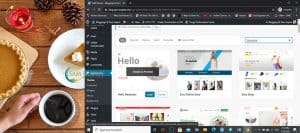 hwo to search for WP theme