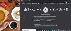 How to Open Private Web Browser