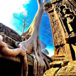 Tomb Raider Laura Croft Jungle temple in Siem Reap
