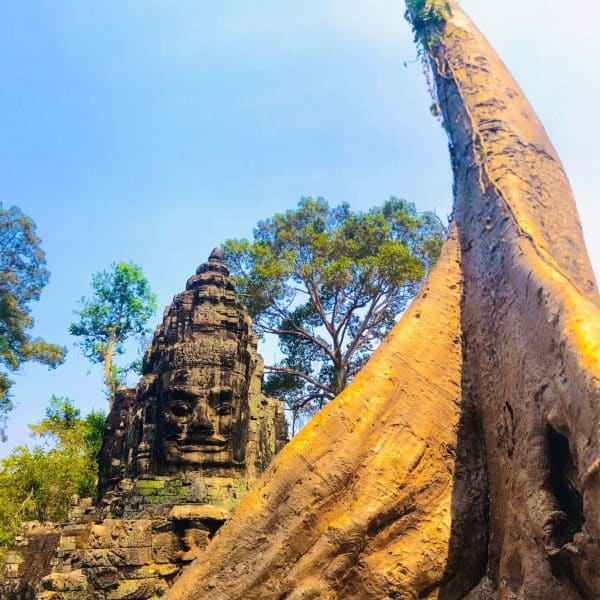 Ta Prohm Jungle temple