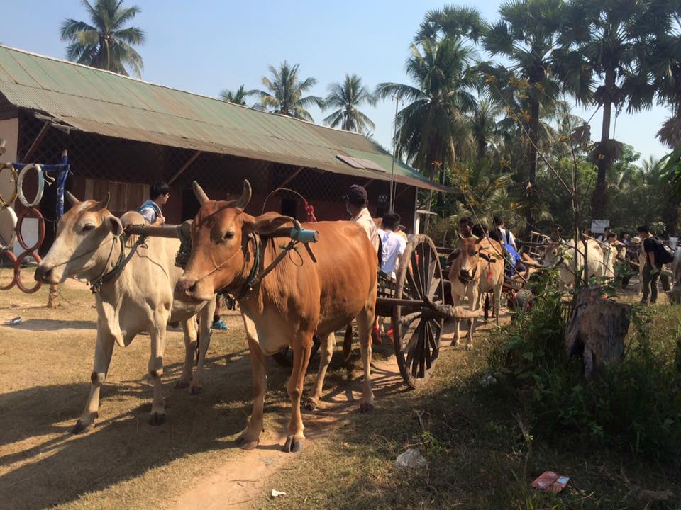 រទេះគោ ox-cart Cambodia