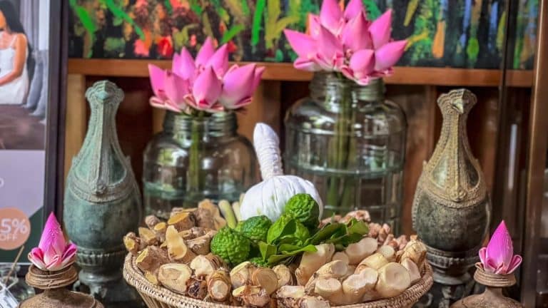 Discover the Best Spas and Massage Wellness Places in Siem Reap