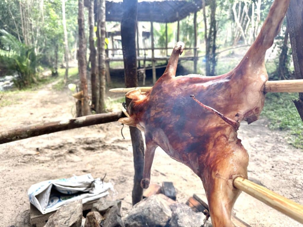 ដុតជ្រូក Campsites on Kulen mountain1 Full body roasted pig BBQ pig