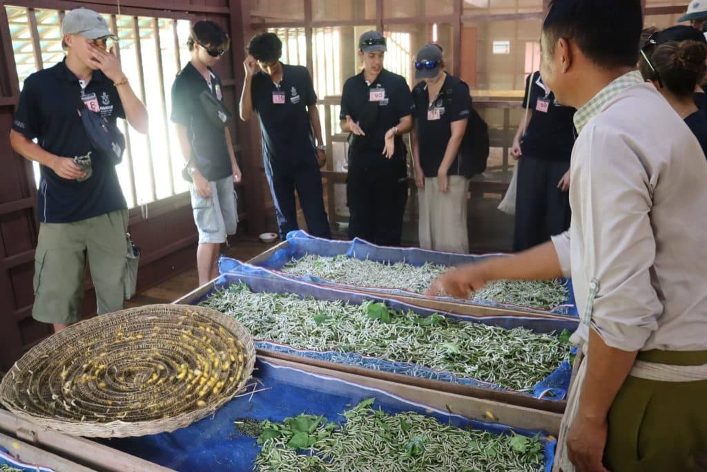 Silk Factory Silk Farm Puok Silk Factory Silk Farm Puok