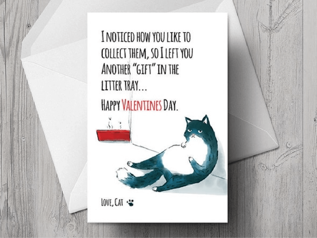 A cat Valentine's Day card