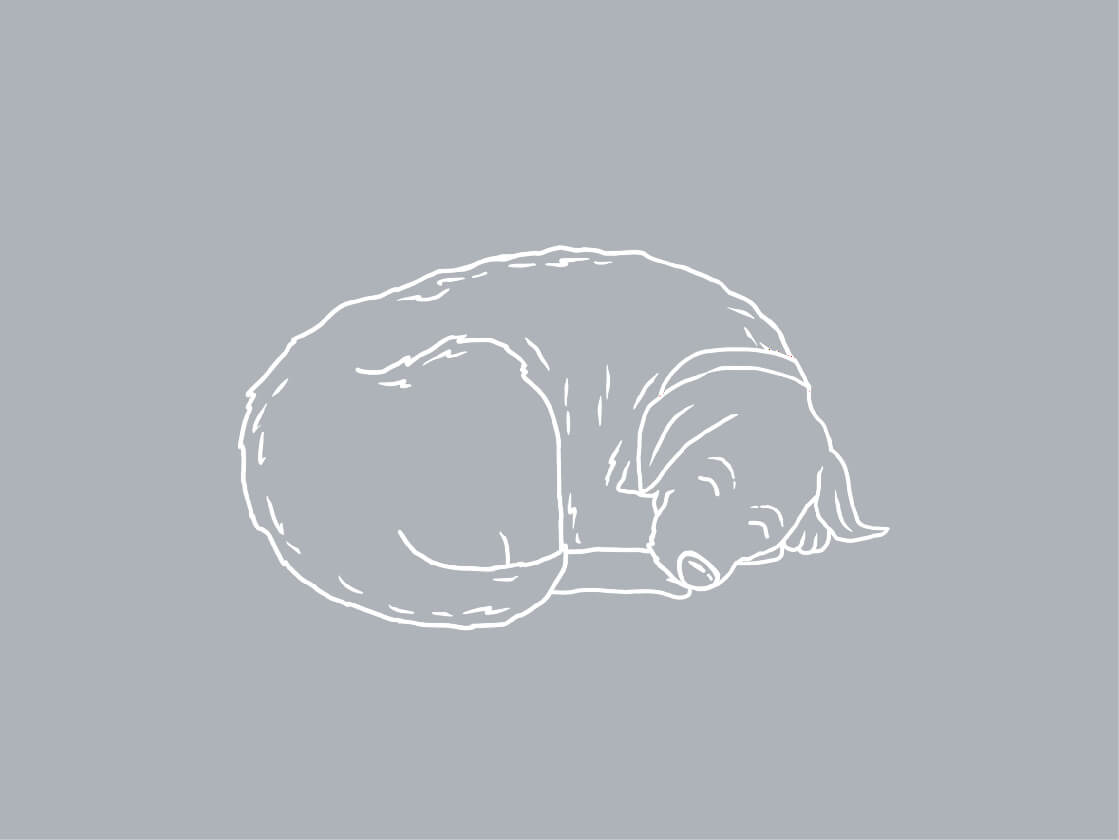 Sleeping Dog Outline Illustration