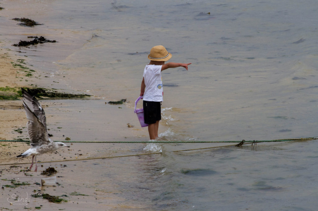 Sandi Photography, St Ives