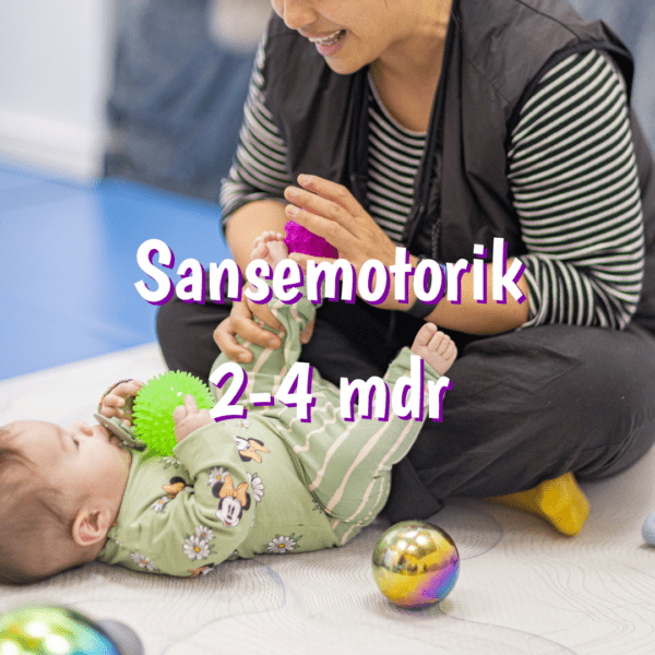 Babymotorik Babyhold Sansemotorik 2-4 mdr SanseLab