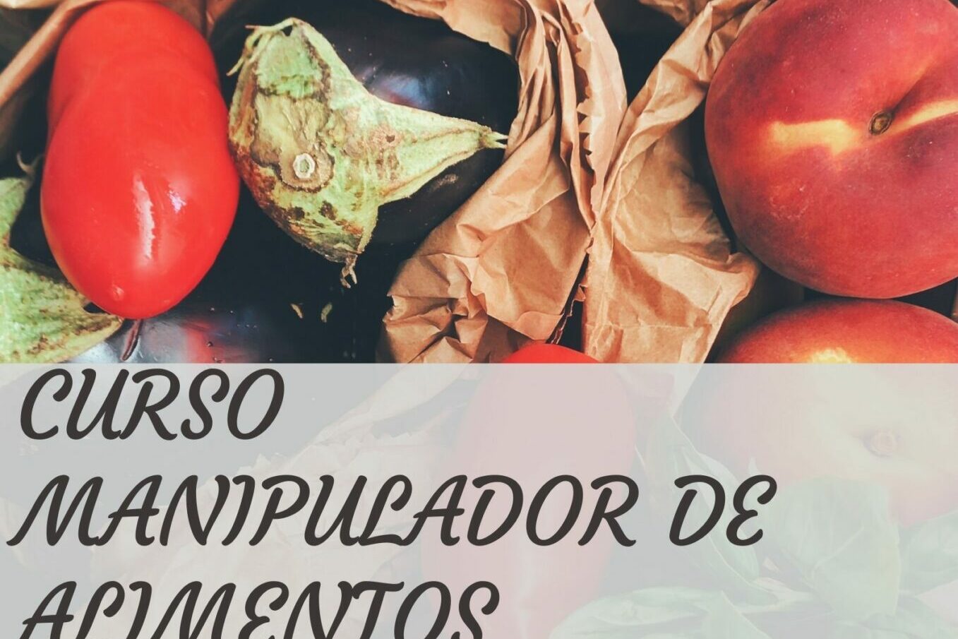 Curso Manipulador de alimentos