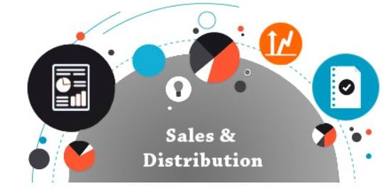 Configure SAP Sales & Distribution Organization Structure in 5 Minutes