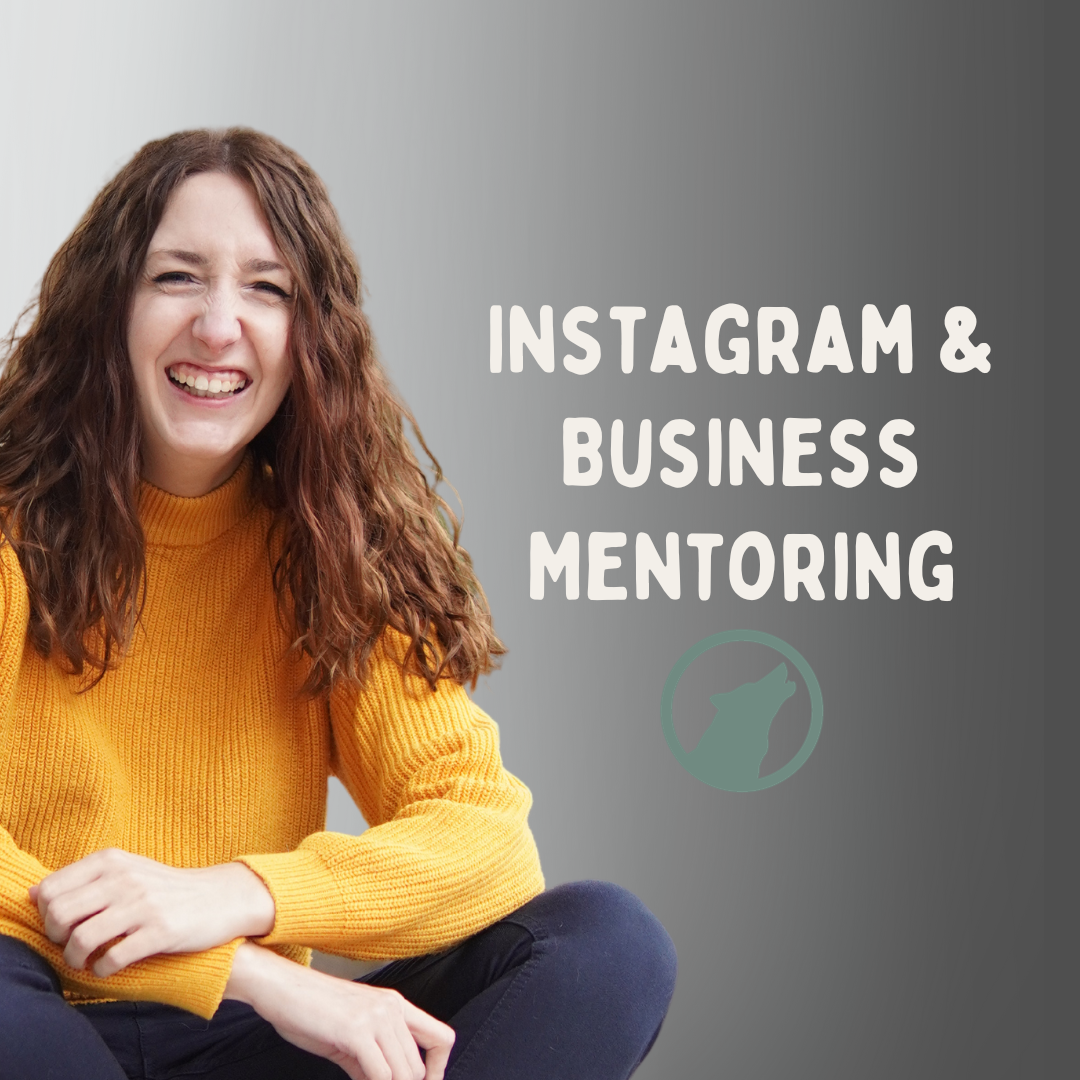 Instagram Business Mentoring