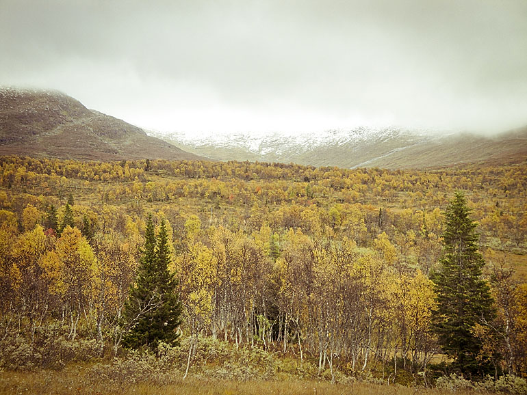 åre höst traningsgladje.se