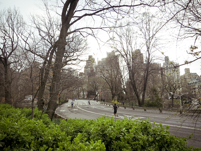 new york central park 2 copy